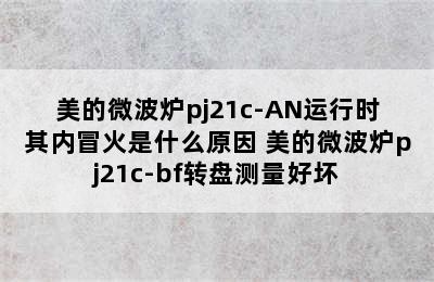 美的微波炉pj21c-AN运行时其内冒火是什么原因 美的微波炉pj21c-bf转盘测量好坏